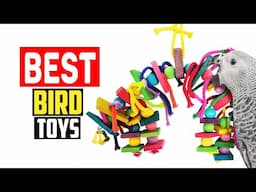 ✅Top 5 Best Bird Toys in 2025