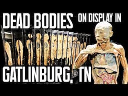 BODIES HUMAN: Downtown Gatlinburg's NEW Educational Attraction |REAL PRESERVED BODIES ON DISPLAY!|