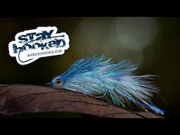 Ahrex - Shimmer Minnow - by Brian Schumaker