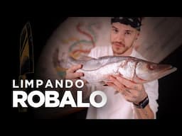 LIMPANDO ROBALO: como preparar o peixe branco | Como fazer Sushi