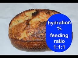 Hydration % and Feeding Ratio