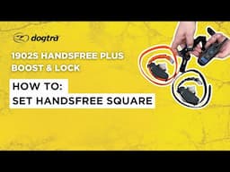 How to Set Handsfree Square | Dogtra 1902S HANDSFREE PLUS