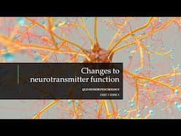 Changes to Neurotransmitter Function