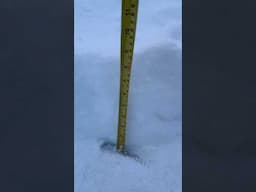 8 inches …and still snowing. 12 inches expected! Kansas City Frozen