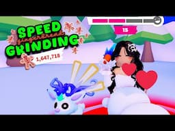 Speed Grind 1 Million Gingerbread With me in Adopt Me! | Winter Update