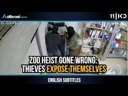 Both Foolish and Greedy: The Thieves Who Broke Into the Zoo and Exposed Their Crime | KAN 11