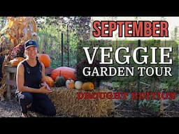 September Vegetable Garden Tour- Ohio 2024