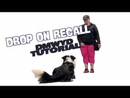 Drop on Recall - DMWYD: Trick Tutorial