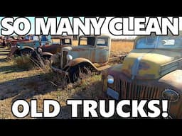 A Private Yard FULL of SOLID Old Trucks & Cars! DONT MISS This! Chevys, Fords, ALL Great Projects!