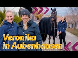 Traum-Praktikum bei Jessica von Bredow-Werndl & Benjamin Werndl 🤩✨ Veronikas Alltag in Aubenhausen 🐴