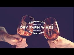 What is Dry Farm Wines?