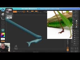 Insect Inspired Creature Design with Eric Keller - ZBrush 2025