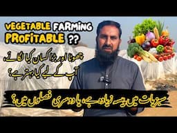 Vegetable Farming Profitable Business? | Sabzi Ka Kasht Faida Mand Hai? | Small vs Large Farmers