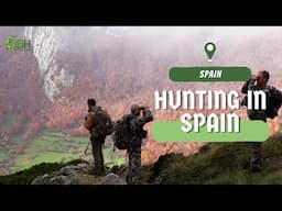 IberHunting - Hunting in Spain