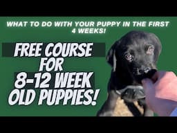 COMPLETELY FREE COURSE FOR 8-12 WEEK OLD PUPPIES! Now also giving away a free video call session!!!