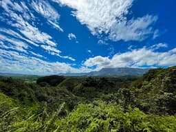 Moalepe trail hike on Kauai's east side | On Hawaii Time | KAUAI HAWAII