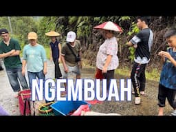 Mengambil Buah Beramai ramai Di Dusun Atok Terus Menjala Di Kolam.