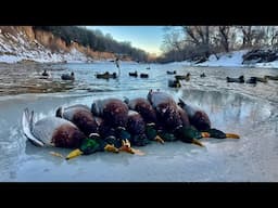 Small River Duck Hunt: 2-Man Mallard Limit in 35 Minutes!