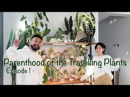 Meet & Learn from Her Plant Stories + Houseplant Collection Tour