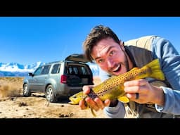 Trout Fishing and Camping Out of My Car!  This River Was GORGEOUS!