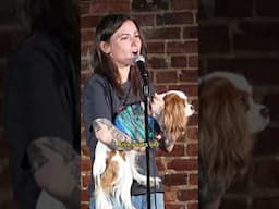 Dog in Show PART 2 | Natalie Cuomo #standup