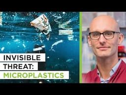 Looking At Microplastics & Inflammation’s Impact on Brain Health | Jack Auty