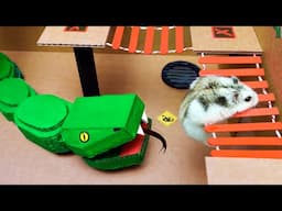 🐹🐍Snake Hamster Maze with Traps - obstacle course