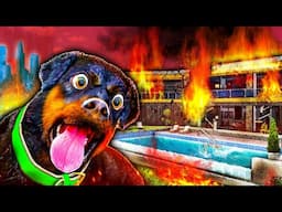 OMG! Franklin’s Dog was About to DIE in a RAGING FIRE! (GTA 5)