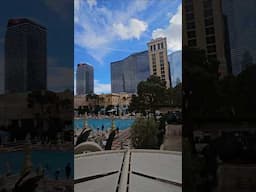 Bellagio Las Vegas Pool Deck 2025