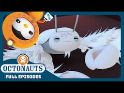 @Octonauts - ✨ The Yeti Crab 🦀 | Season 3 | Full Episodes | Cartoons for Kids