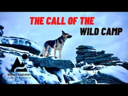 Winter Wild Camping | Dartmoor Snow Camp | Antarctic Sledge Dogs