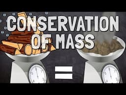 The Law of Conservation of Mass