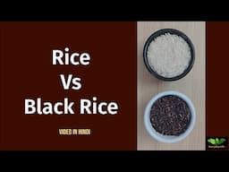 Rice Vs Black Rice | चावल Vs काले चावल | Rice | Everyday Life # 355