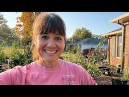 Live with Lisa - In the Garden in late October