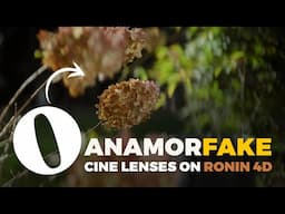 Anamorfake Samyang/Rokinon VDSLR - Oval Bokeh Deliciousness on the DJI Ronin 4D-8K