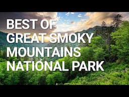 Top Things You NEED To Do In Great Smoky Mountains National Park