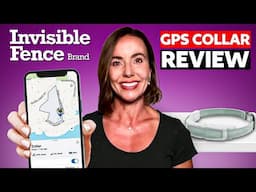 Invisible Fence GPS Collar Review: The Truth Revealed 2024