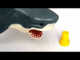 SHARK TOY PLAYING