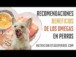 Beneficios de los omegas en la salud de los perros.