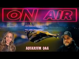 Hang out with Fish Keepers - LIVE