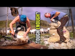 What is it like Shearing on the Scottish Islands?