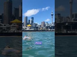 Would you swim in Auckland city’s new harbour pool? We did and loved it 🤗☀️