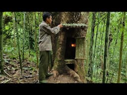 Build a shelter in a thousand-year-old giant tree full of mystery and warmth, a tree house