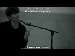 Park Hyo Shin - Wild Flower MV [Sub Español + Hangul + Romanización]