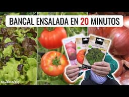 Te explico TODO SOBRE EL BANCAL ENSALADA: cultiva lechuga, tomate y cebolla juntos || en20metros