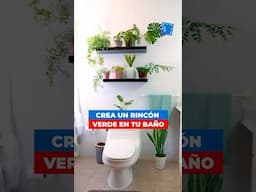 Repisa verde para baño