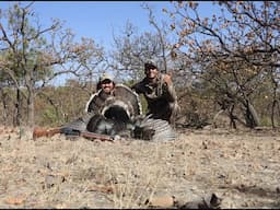 2021 Caza de guajolote Mexico ! Goulds turkey hunting 2021 Mayo