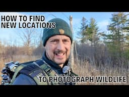 What to look for when Finding NEW locations for Wildlife Photography | Canon R3 & 1DX MK III