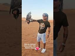 With the National Bird of UAE - The Majestic Falcon ❤️ #dubai #falcon