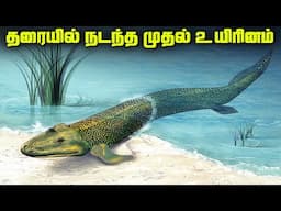 தரையில் நடந்த முதல் உயிரினம் - Tiktaalik